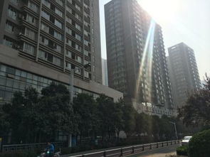 鄭州未來國(guó)際項(xiàng)目綜合分析 優(yōu)勢(shì)、不足及周邊房產(chǎn)中介評(píng)價(jià)