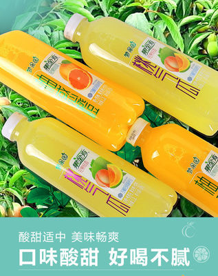 探索網紅果汁風潮 橙汁、西柚、白桃、哈密瓜混合果飲的批發新機遇